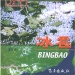 边坝县好玩的地方